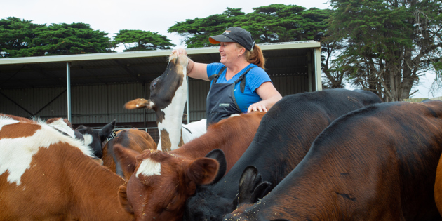 Marika Austin working with cattle