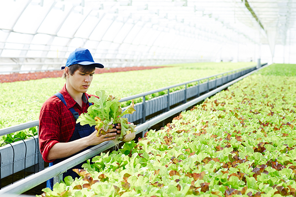 specialist in farming