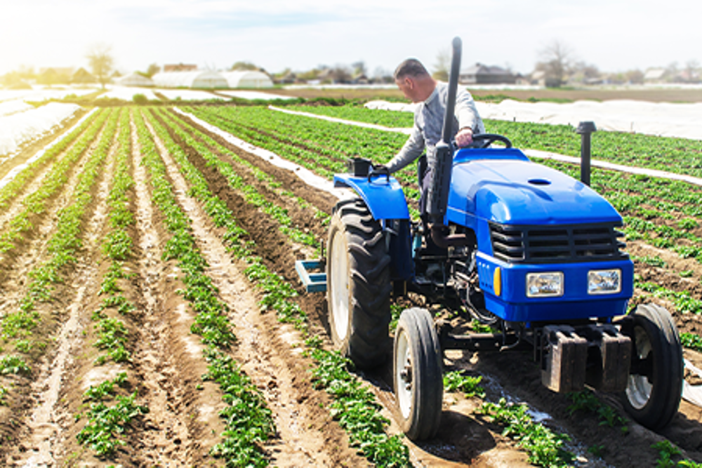 Tractor on field of crops